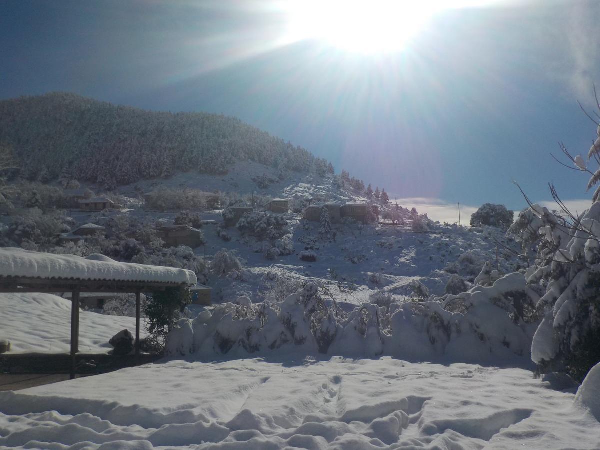 Enoikiazomena Petropoulos Aparthotel Ano Lousoi Buitenkant foto